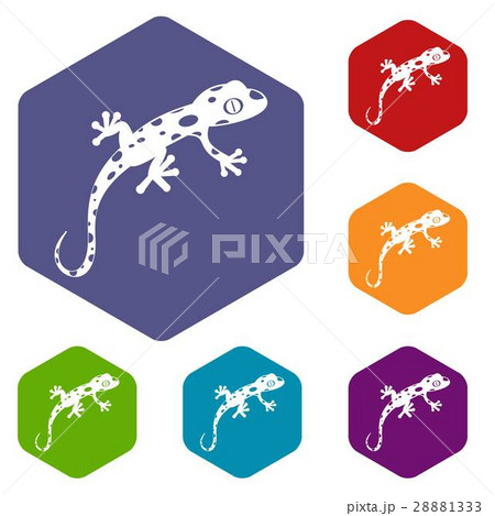 Chameleon icons set 28881333