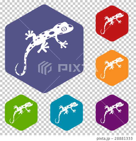 Chameleon icons set 28881333
