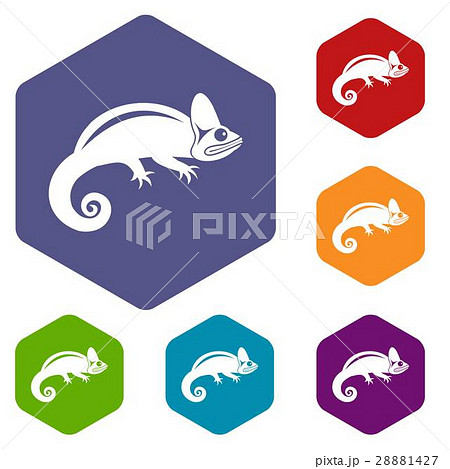 Chameleon icons set 28881427