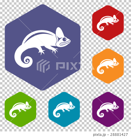Chameleon icons set 28881427