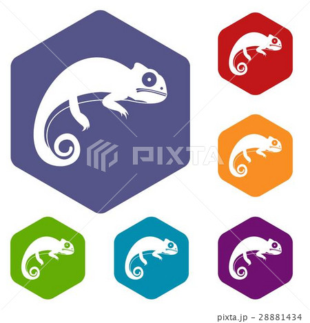Chameleon icons set 28881434