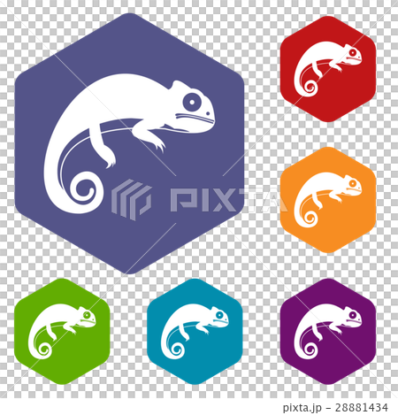 Chameleon icons set 28881434