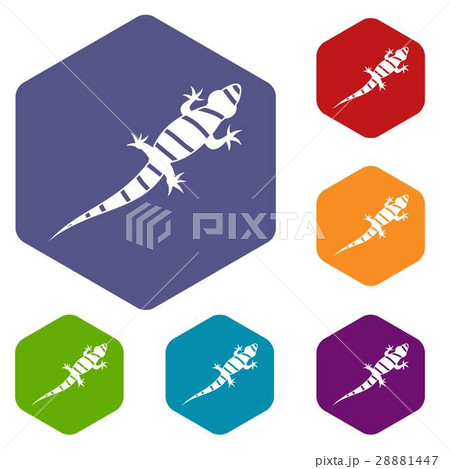 Lizard icons set 28881447