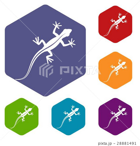 Lizard icons set 28881491