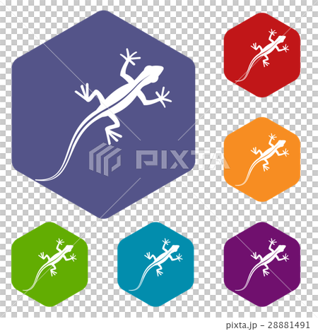 Lizard icons set 28881491