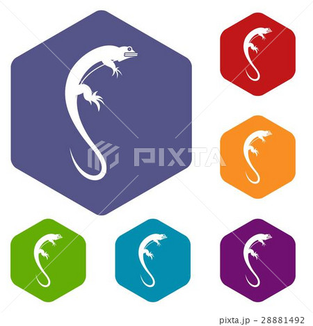 Lizard icons set 28881492