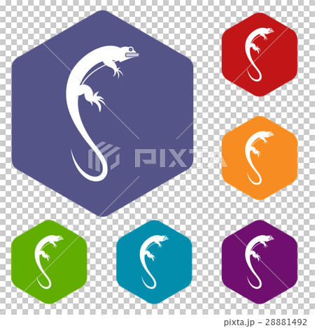 Lizard icons set 28881492
