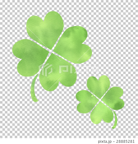 four Leaf Clover  28885281