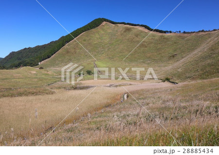 秋風そよぐ曽爾高原のススキの大群生/お亀池/倶留尊山／室生赤目青山国定公園 28885434