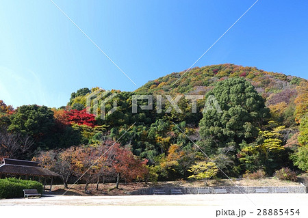 西宮の 甲山の紅葉 兵庫県立甲山森林公園の写真素材