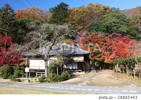 聚遠亭(しゅうえんてい)の紅葉/龍野城、龍野公園にある日本庭園/城下町の風景 聚遠亭(しゅうえんてい)の紅葉/龍野城、龍野公園にある日本庭園/城下町の風景 28885463