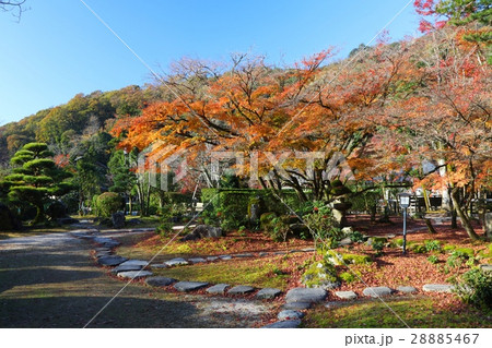 聚遠亭（しゅうえんてい）の紅葉/龍野城、龍野公園にある日本庭園/城下町の風景 28885467