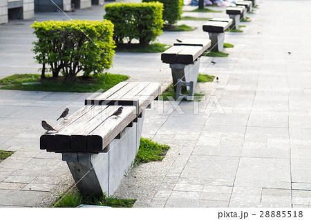 縁石 いげた 道端 28885518