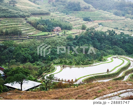 石門 たなだ 段々畑 28885747