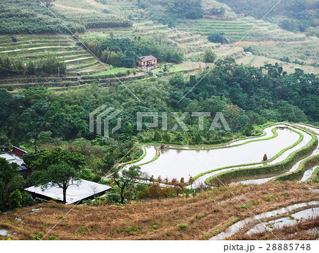 石門 たなだ 段々畑 28885748