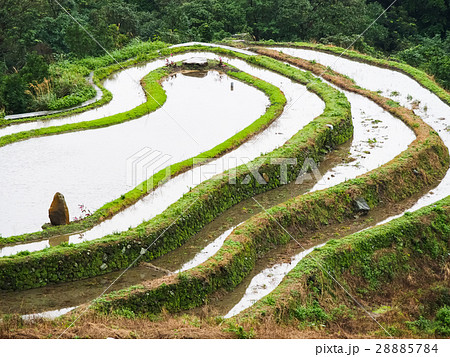 石門 たなだ 段々畑 28885784