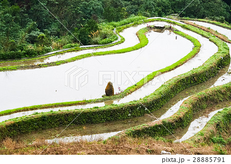 石門 たなだ 段々畑 28885791