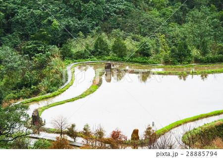 石門 たなだ 段々畑 28885794