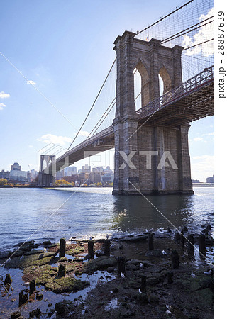 Brooklyn Bridge Brooklyn Bridge 28887639