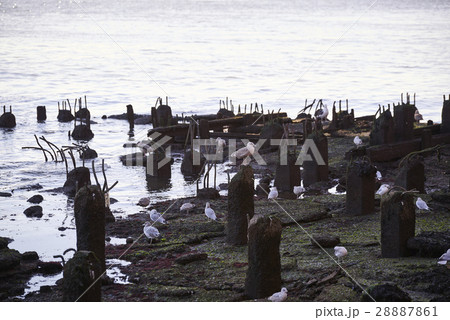 Brooklyn Bridge Brooklyn Bridge 28887861