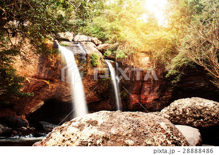 waterfall in the nature of forest. 28888486