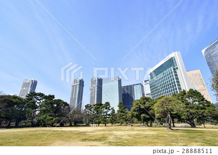 東京　都市風景　浜離宮恩賜庭園 28888511