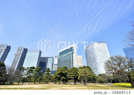 東京 都市風景 浜離宮恩賜庭園 東京 都市風景 浜離宮恩賜庭園 28888513