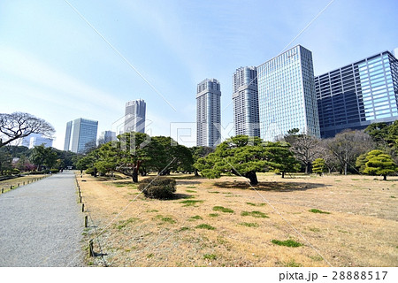 東京　都市風景　浜離宮恩賜庭園 28888517