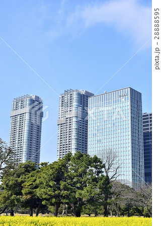 東京　都市風景　浜離宮恩賜庭園 28888595