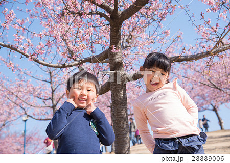 桜と子供 桜と子供 28889006