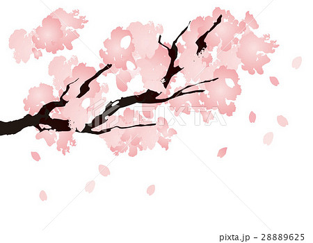 桜 枝 木のイラスト素材 28889625 Pixta