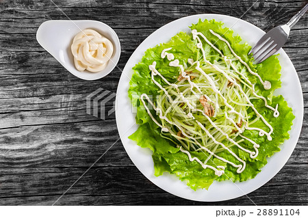 Waldorf Salad with apples, celery and walnuts Waldorf Salad with apples, celery and walnuts 28891104