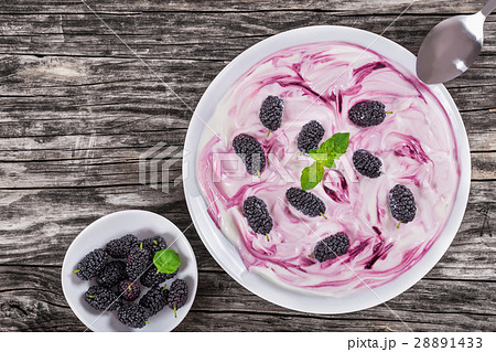 homemade yogurt with mulberry and mint in cups homemade yogurt with mulberry and mint in cups 28891433