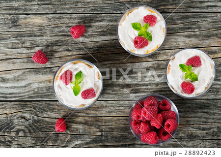 yogurt in cups yogurt in cups 28892423