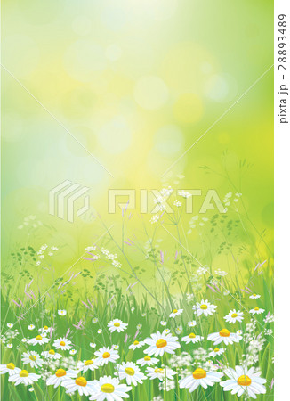 Vector summer nature  background. 28893489