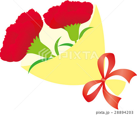 母の日 カーネーション花束 母の日 カーネーション花束 28894203