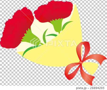 母の日 カーネーション花束 母の日 カーネーション花束 28894203