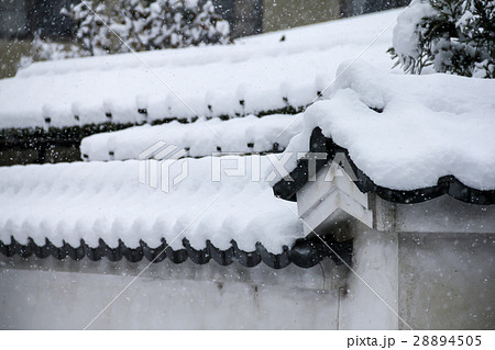 京都の町の雪景色、嵯峨釈迦堂門前 28894505
