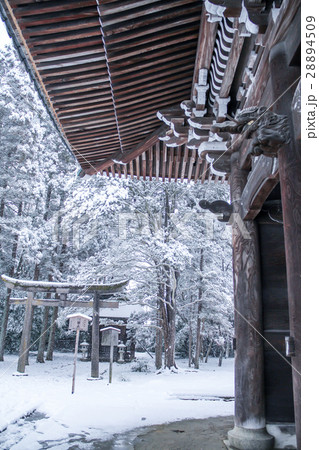 清凉寺境内、雪の仁王門と摂末社愛宕権現社 清凉寺境内、雪の仁王門と摂末社愛宕権現社 28894509