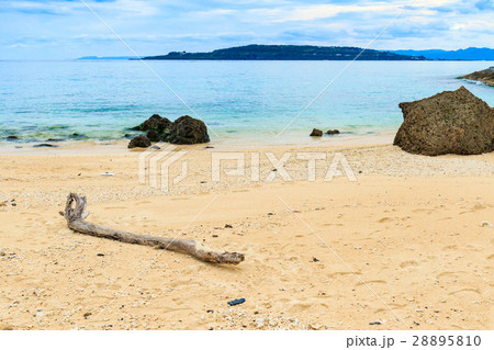 沖縄 今帰仁村 砂浜 沖縄 今帰仁村 砂浜 28895810