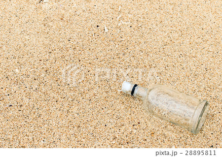 沖縄 今帰仁村 砂浜 沖縄 今帰仁村 砂浜 28895811