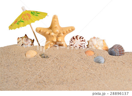 Starfish and seashells in beach sand on a white 28896137
