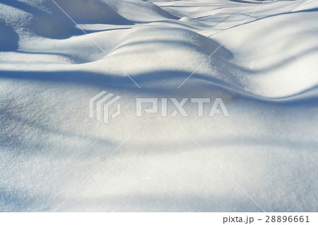 Texture of white snow with shadows of trees Texture of white snow with shadows of trees 28896661