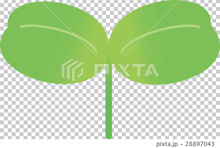 蓋子葉子 28897043