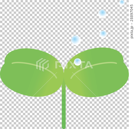 蓋子葉子水下落 28897045