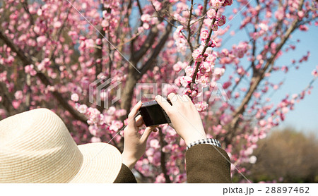 女性 女性 28897462