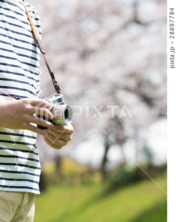 春イメージ 28897784