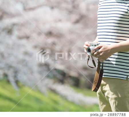 春イメージ 28897788