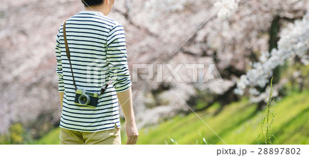 春イメージ 28897802