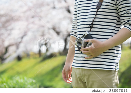 春イメージ 28897811